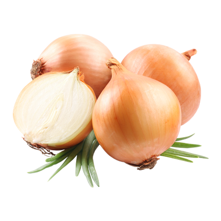 Dehydrated Onion Image